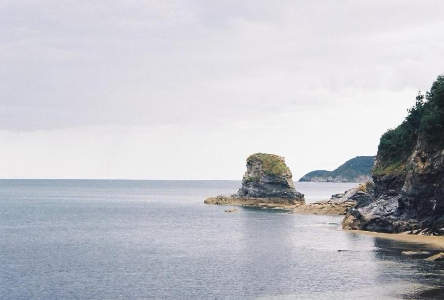 Duke Of Cornwall St Austell Dış mekan fotoğraf